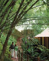 Four Seasons Tented Camp Golden Triangle 